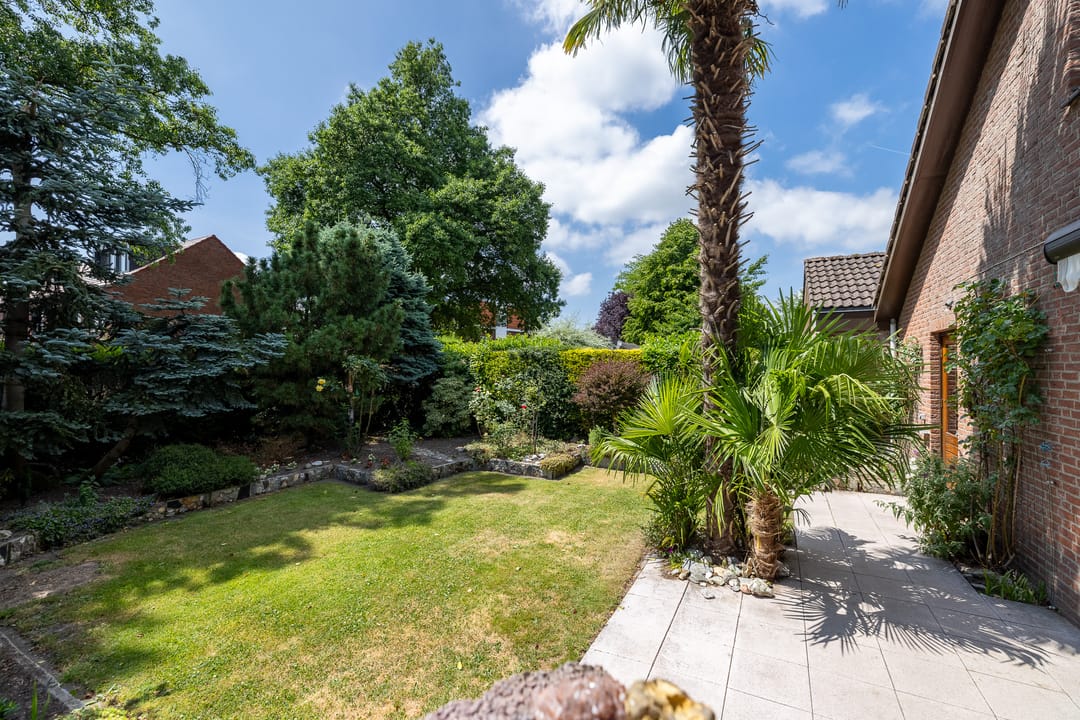 Foto 13 van Rozenstraat 79