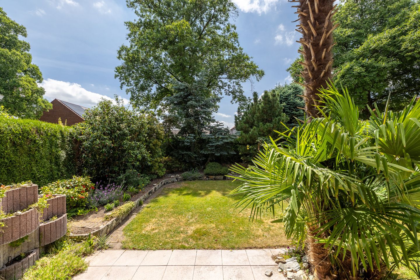 Foto 14 van Rozenstraat 79