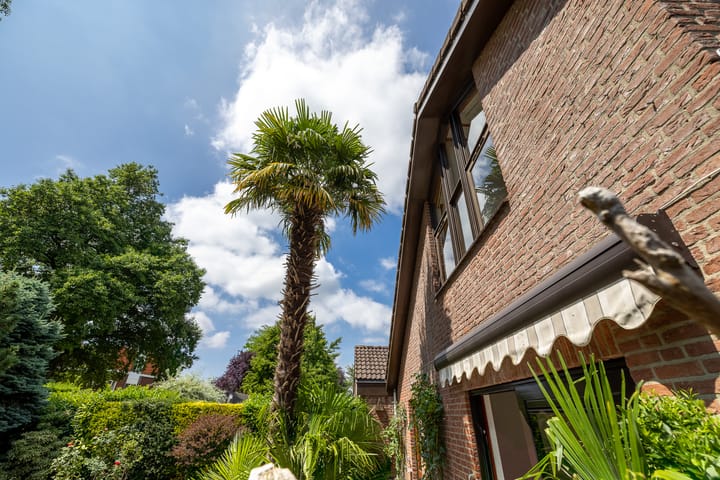 Foto 16 van Rozenstraat 79