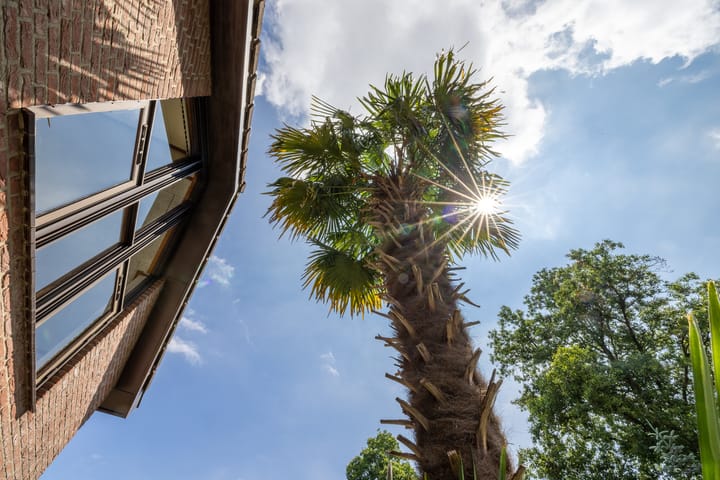 Foto 17 van Rozenstraat 79