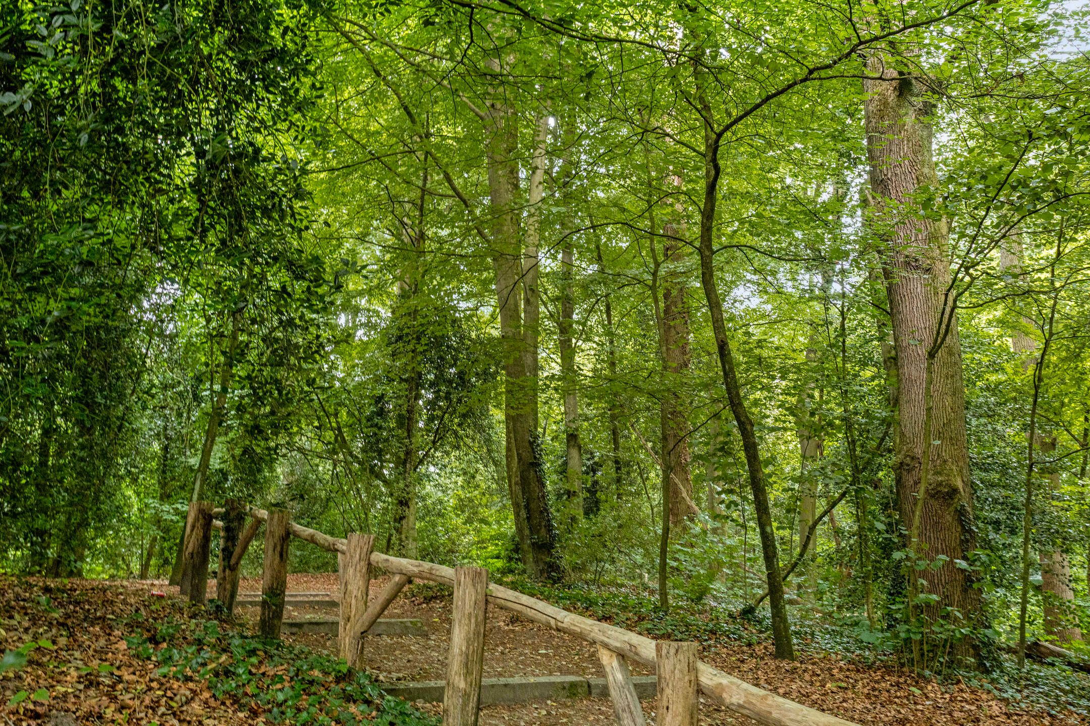 Foto 33 van Bachweg 92-A