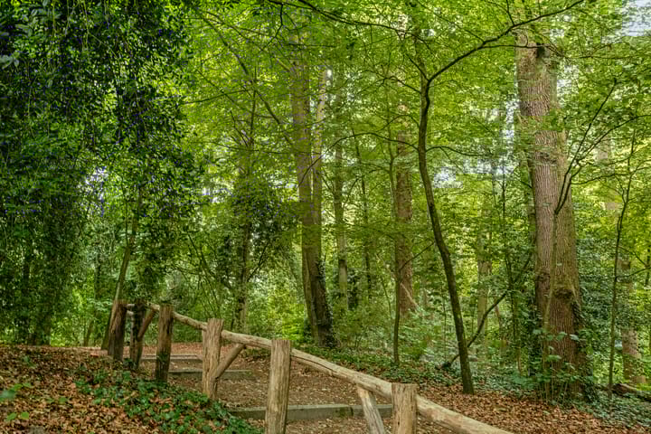 Foto 33 van Bachweg 92-A