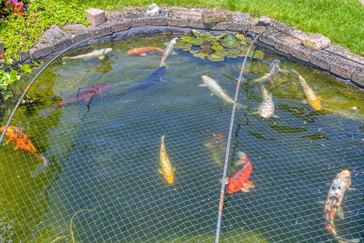 Foto 41 van Stenenkamerstraat 34