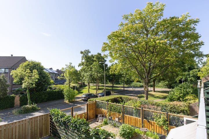 Foto 27 van Albert van Dalsumlaan 63