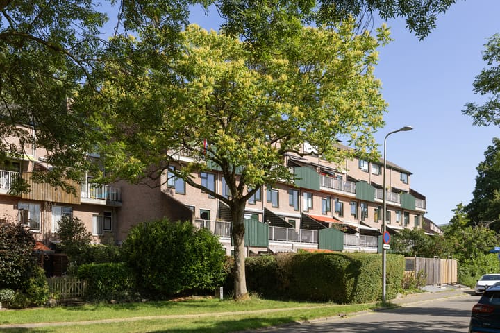 Foto 50 van Albert van Dalsumlaan 63