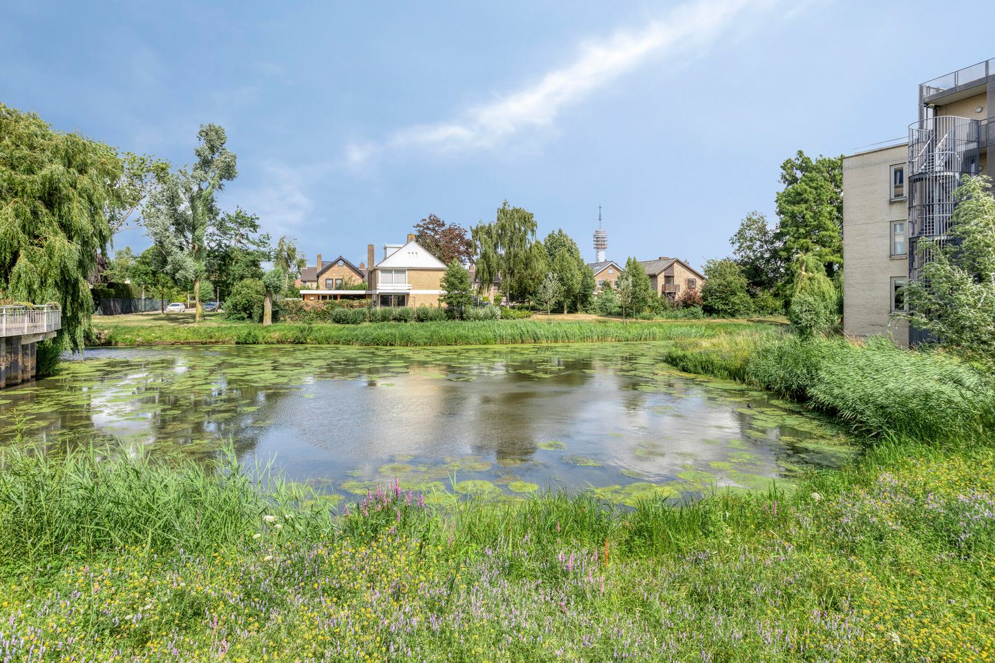 Foto 29 van Citroenberg 177