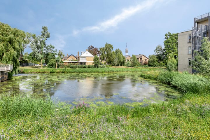 Foto 29 van Citroenberg 177