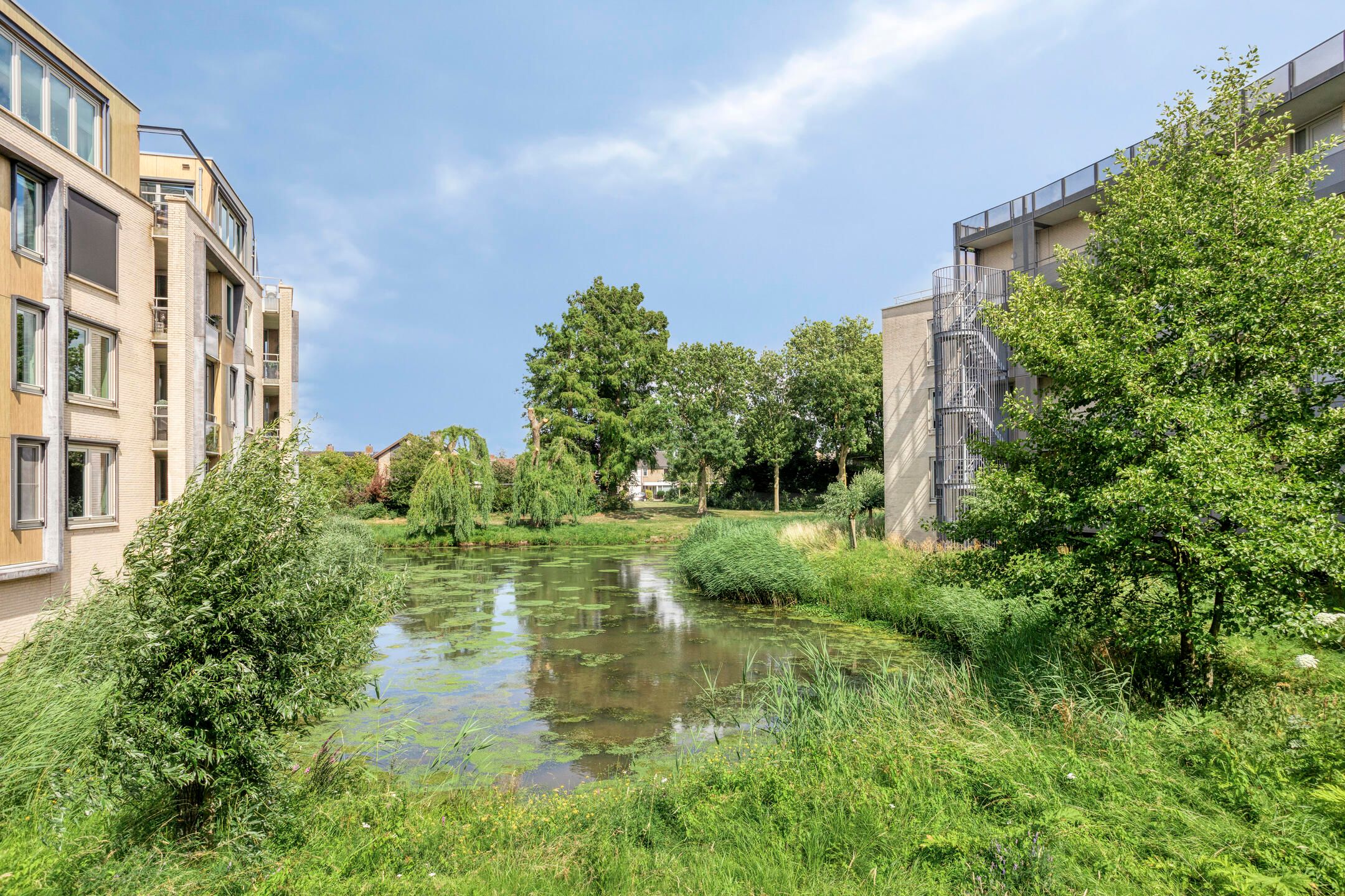 Foto 30 van Citroenberg 177