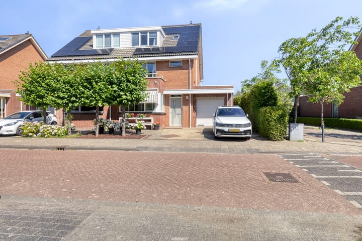undefined main image