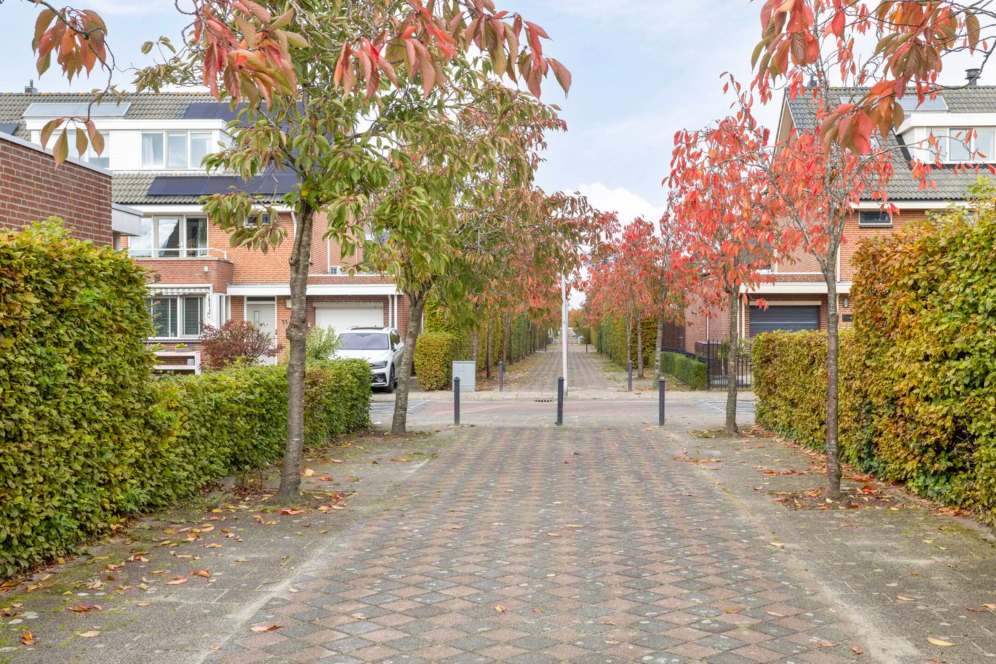 Photo 40 of Veenweide 11