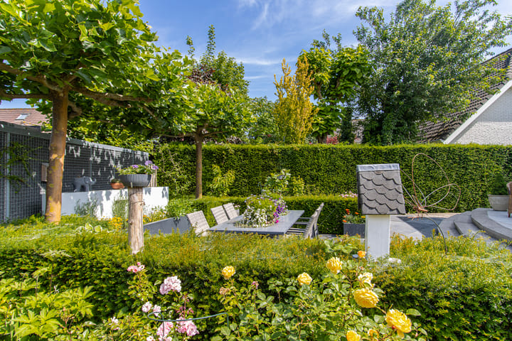 Foto 4 van de Flank 5