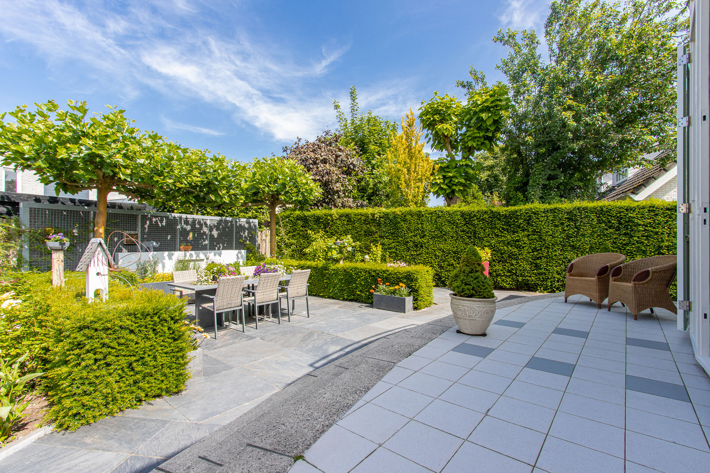 Foto 59 van de Flank 5