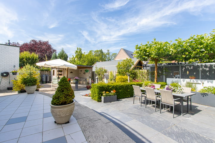 Foto 60 van de Flank 5