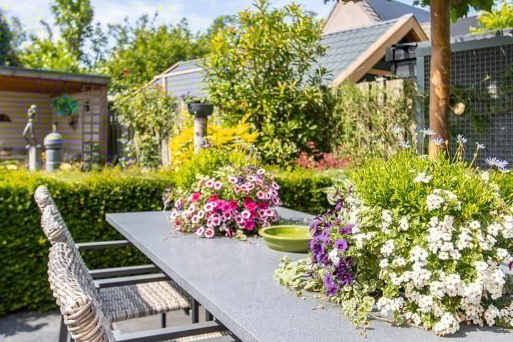 Foto 68 van de Flank 5