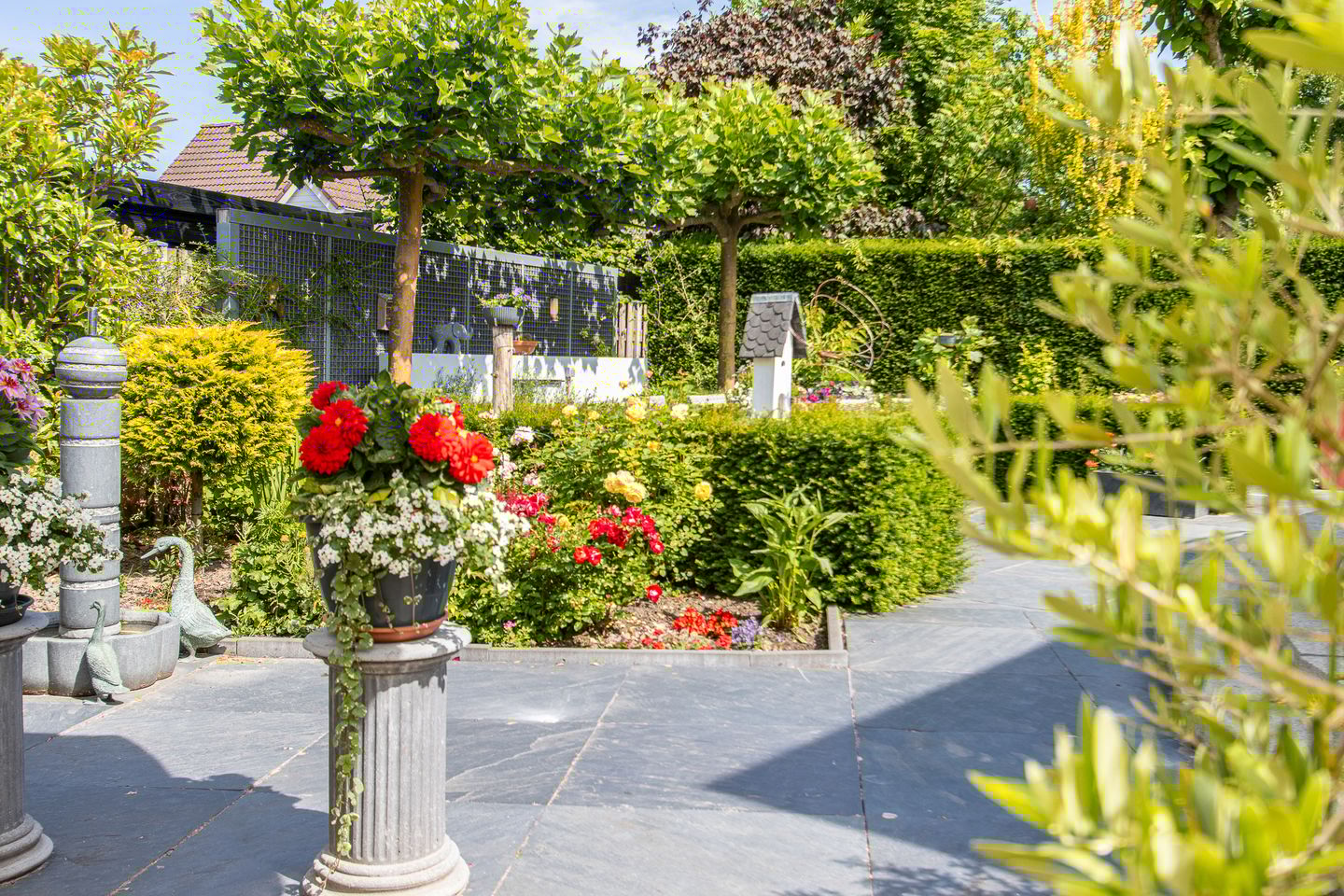 Foto 70 van de Flank 5