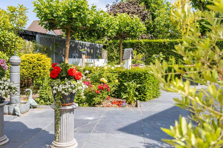 Foto 70 van de Flank 5