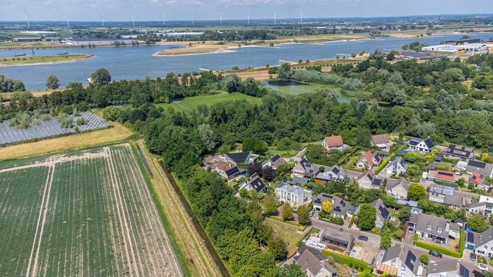 Foto 83 van de Flank 5