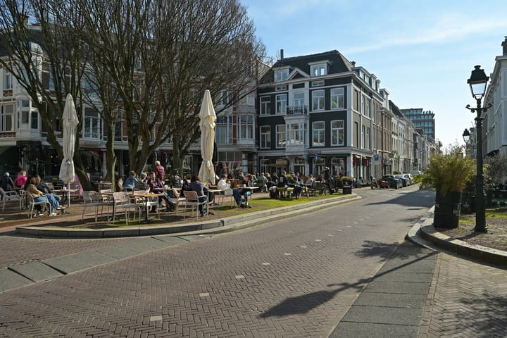 Photo 31 of Anna Paulownastraat 51-A