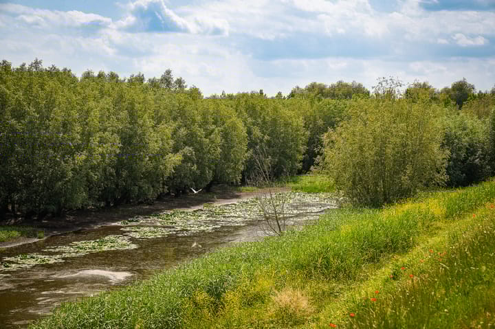 Foto 35 van Gasthuisstraat 22