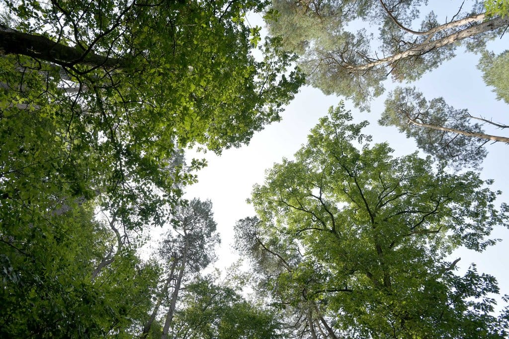 Photo 20 of Nijhofslaantje 1