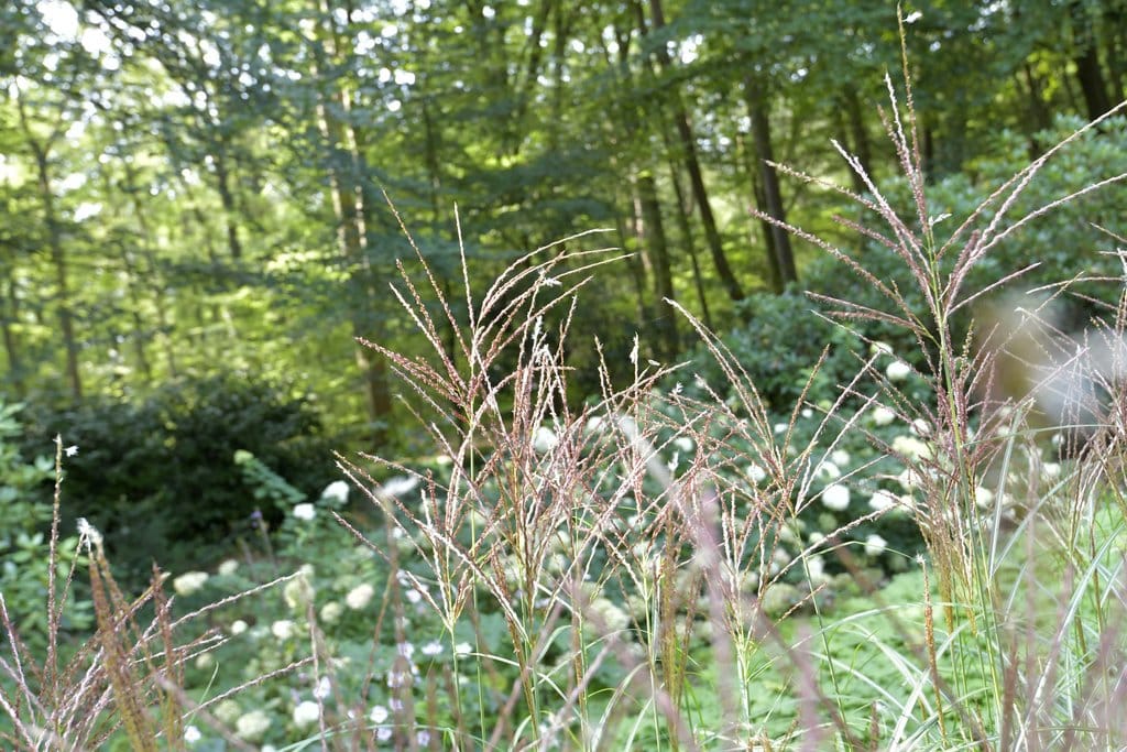 Photo 28 of Nijhofslaantje 1