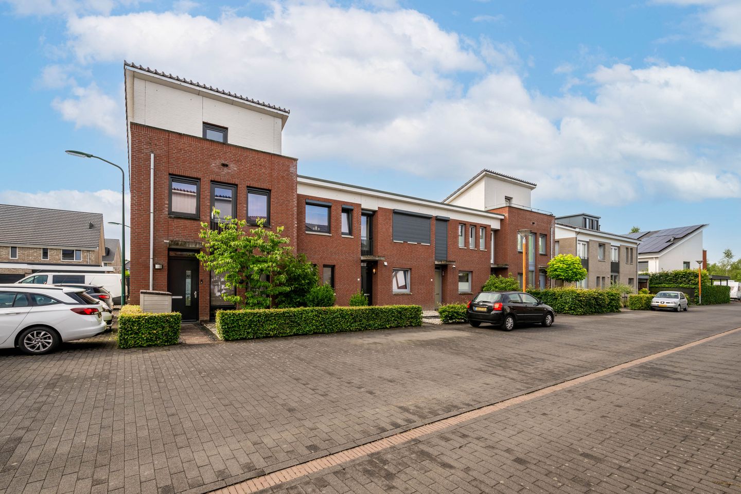 Foto 5 van Havikskruid 14