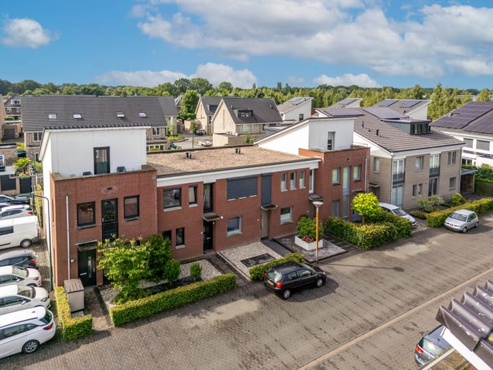 Foto 1 van Havikskruid 14