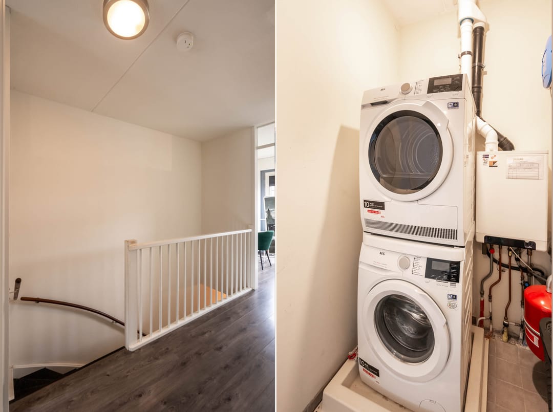 Foto 13 van Havikskruid 14