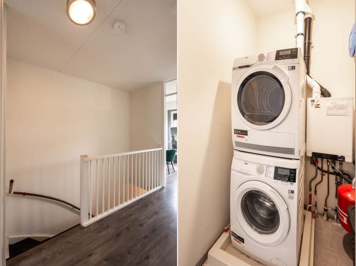 Foto 13 van Havikskruid 14