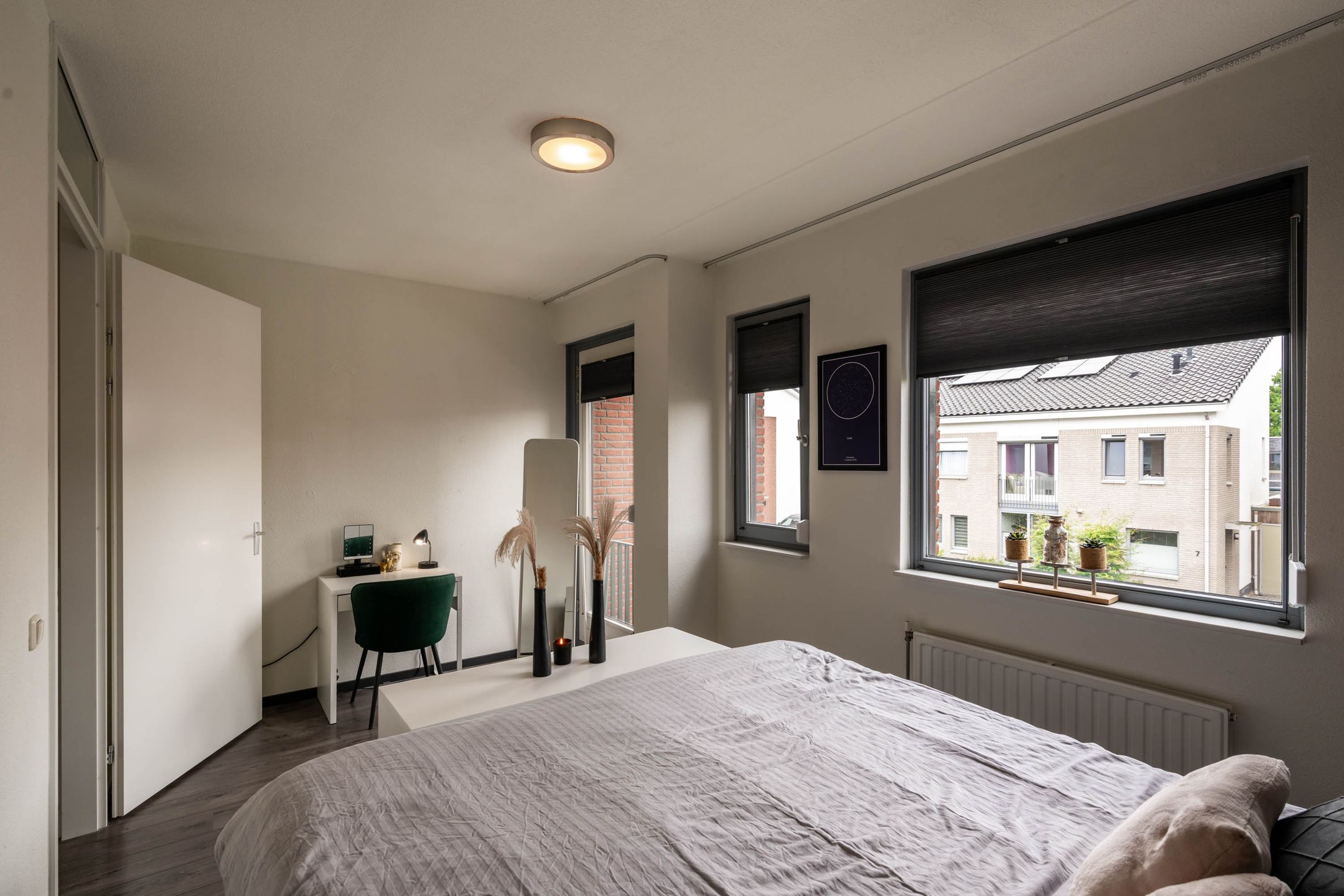 Foto 15 van Havikskruid 14