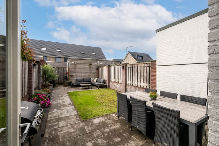 Foto 20 van Havikskruid 14