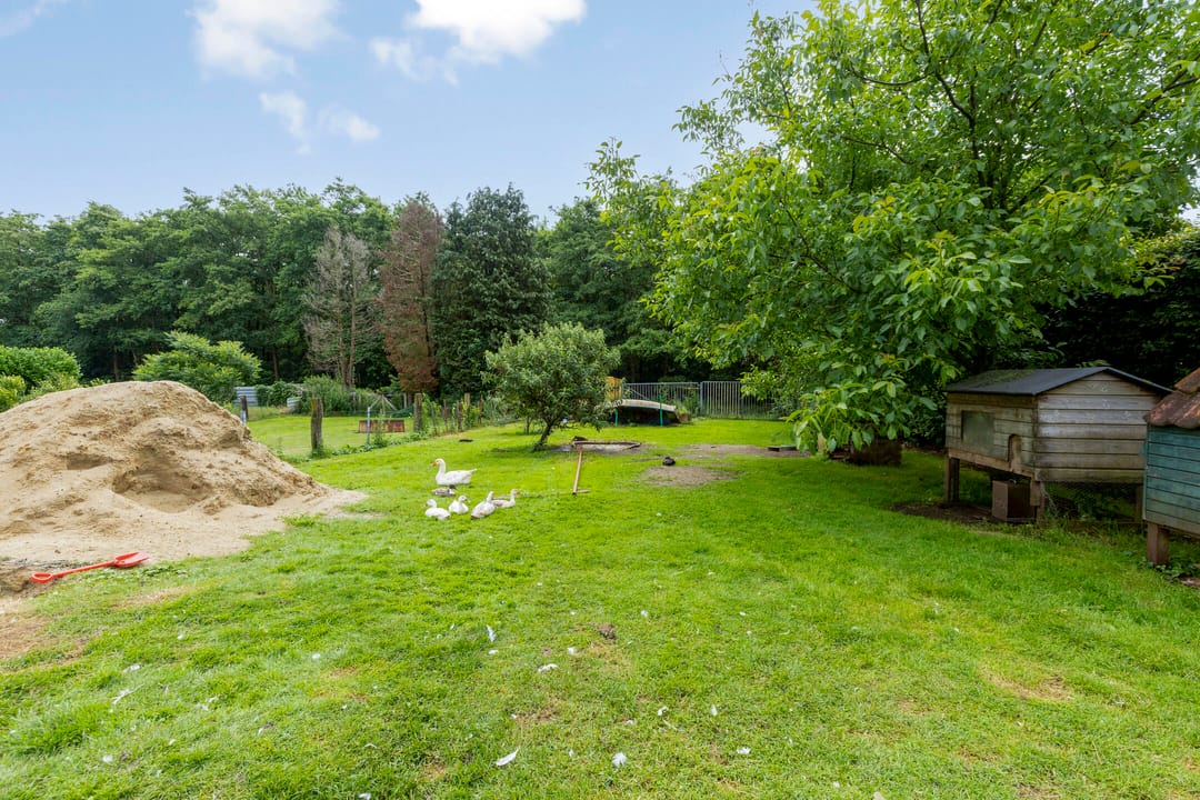 Photo 41 of Tramwijk ZZ 57