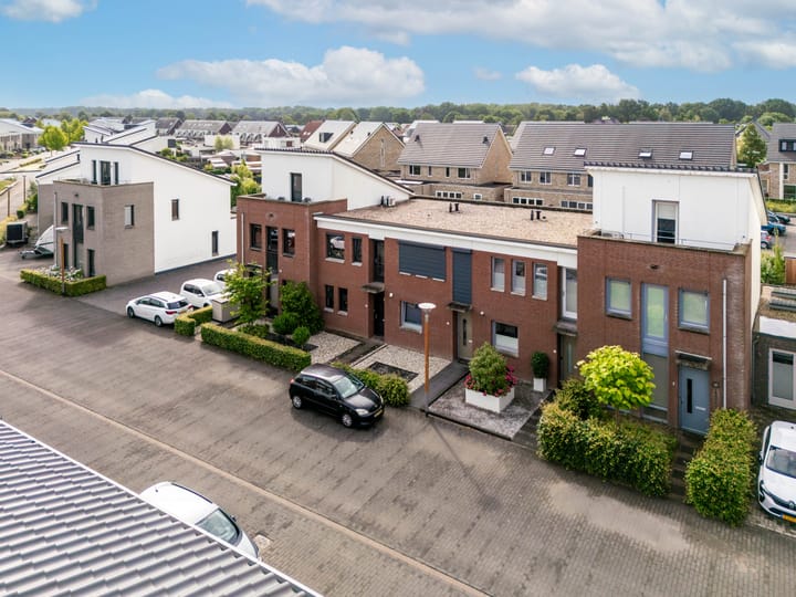 Foto 23 van Havikskruid 14