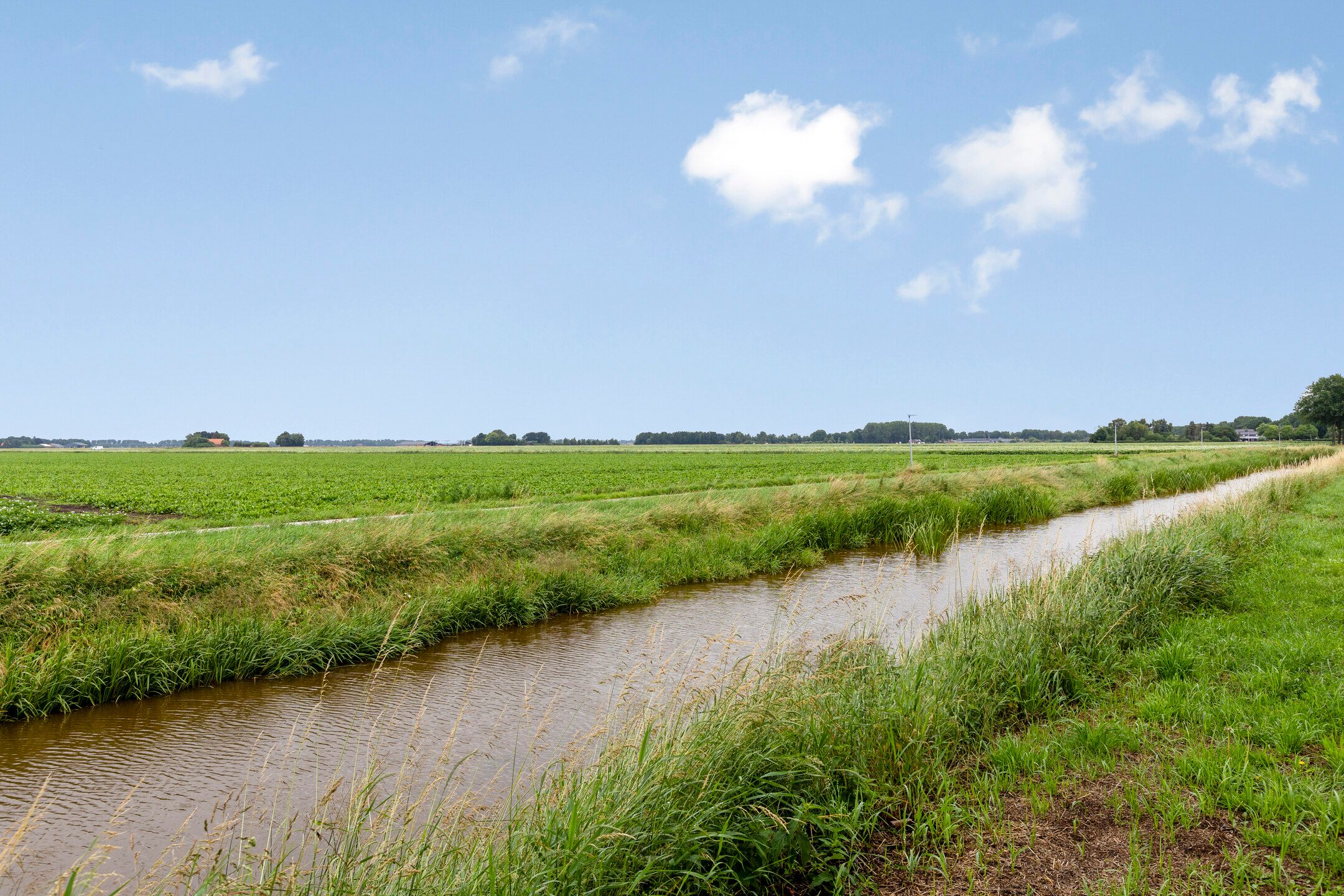 Photo 42 of Tramwijk ZZ 57