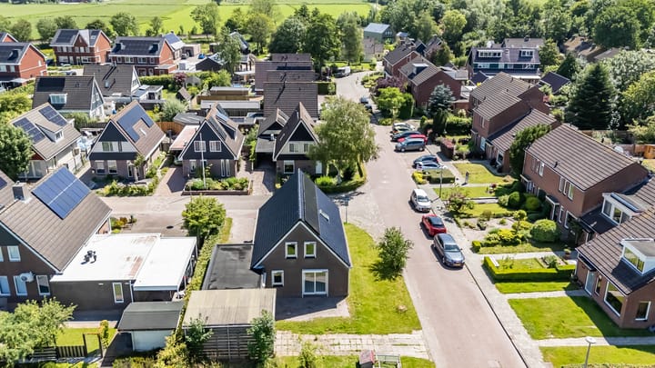 Foto 7 van De Omloop 2