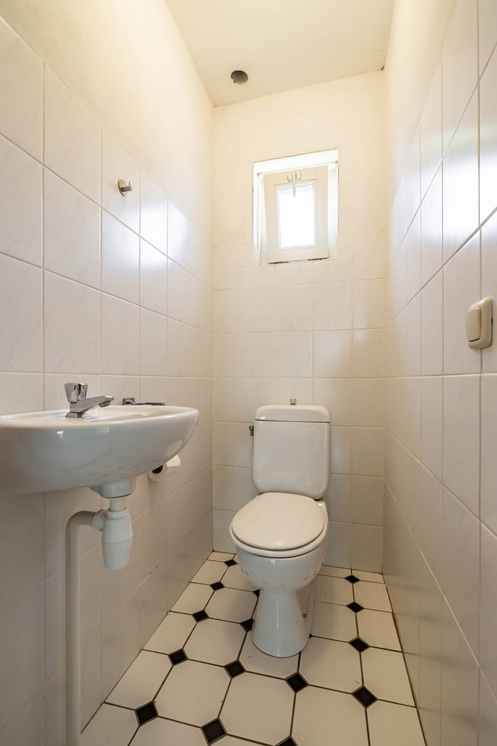 Foto 22 van De Omloop 2