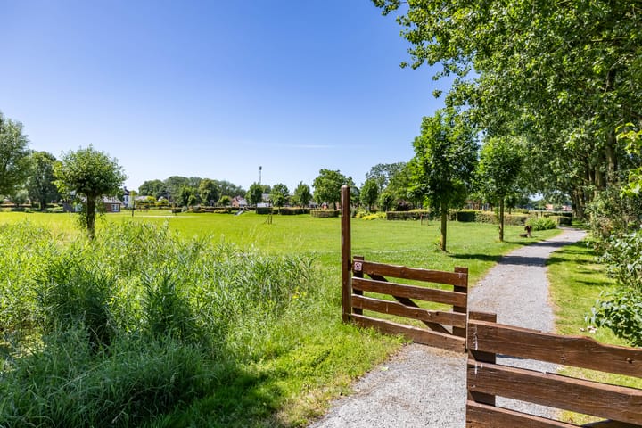 Foto 48 van De Omloop 2