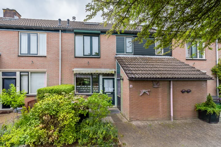 Amstel 6