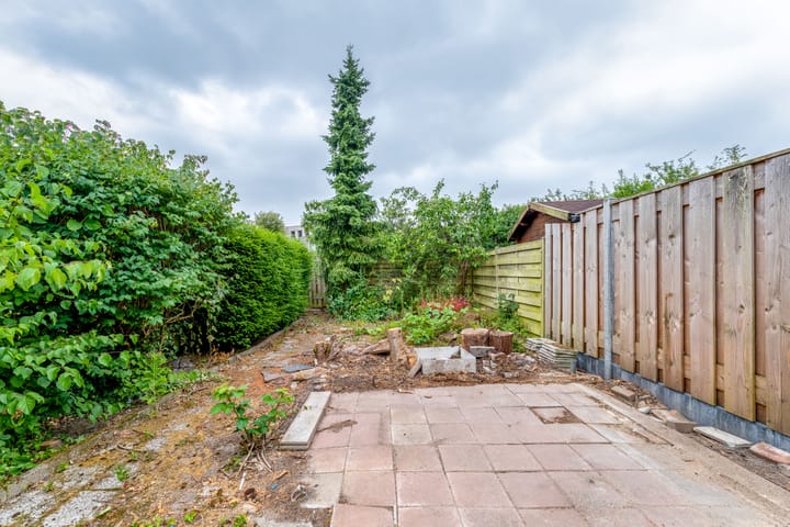 Foto 11 van Amstel 6