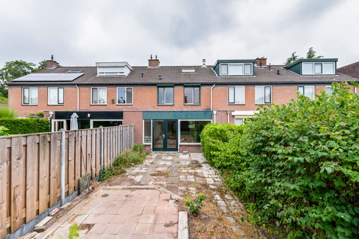 Foto 12 van Amstel 6