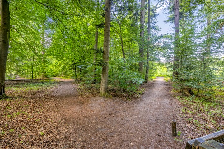 Foto 66 van Kamperweg 75