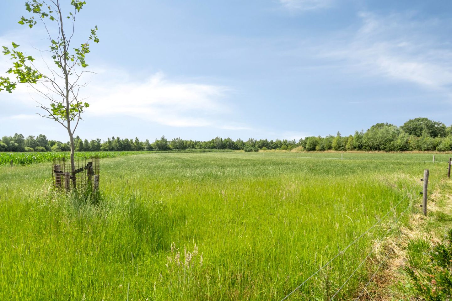 Photo 49 of Gezandebaan 37