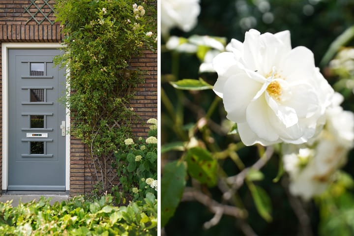 Foto 2 van Klaas Frisohof 12