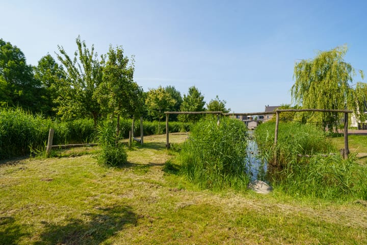 Foto 54 van Douwe Dabbertstraat 49