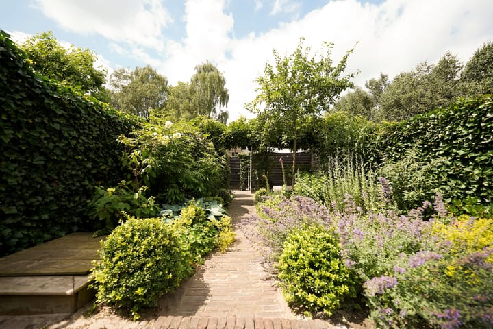 Foto 19 van Klaas Frisohof 12