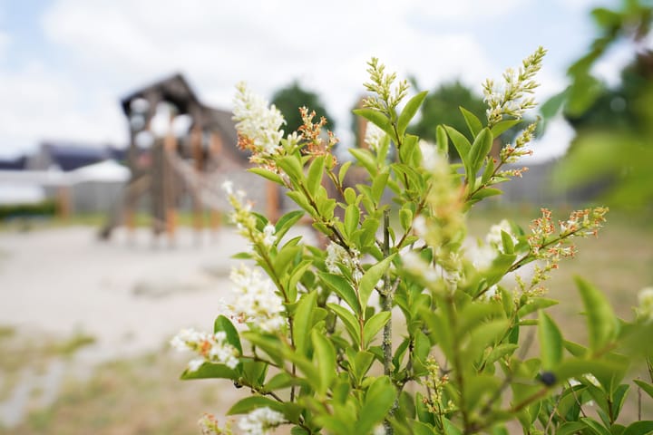 Foto 50 van Klaas Frisohof 12