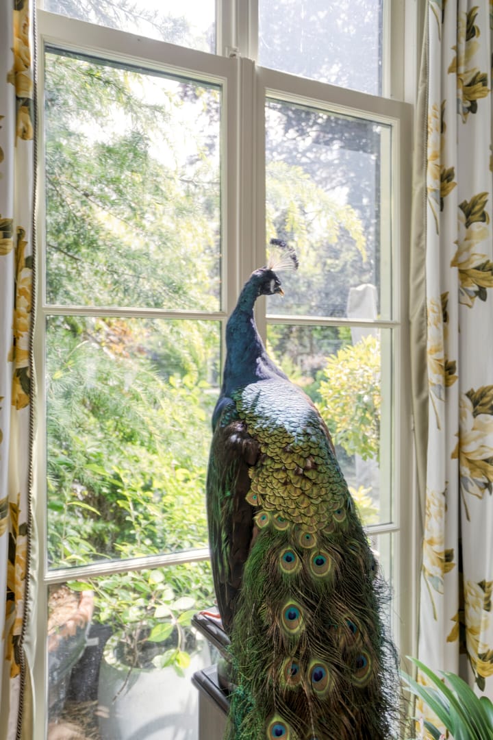 Foto 22 van Lingerzijde 39