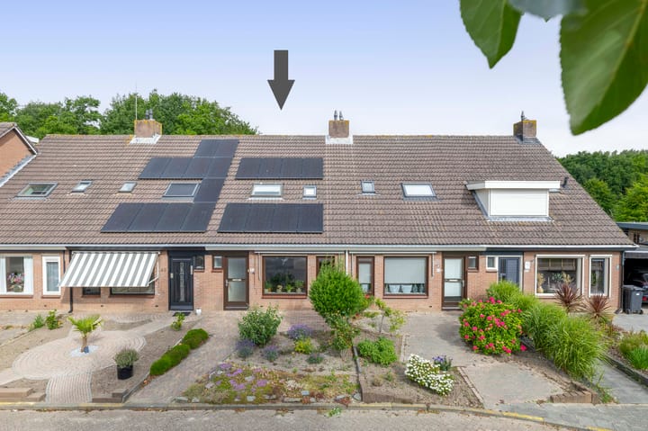 Foto 1 van Tulpenpad 51