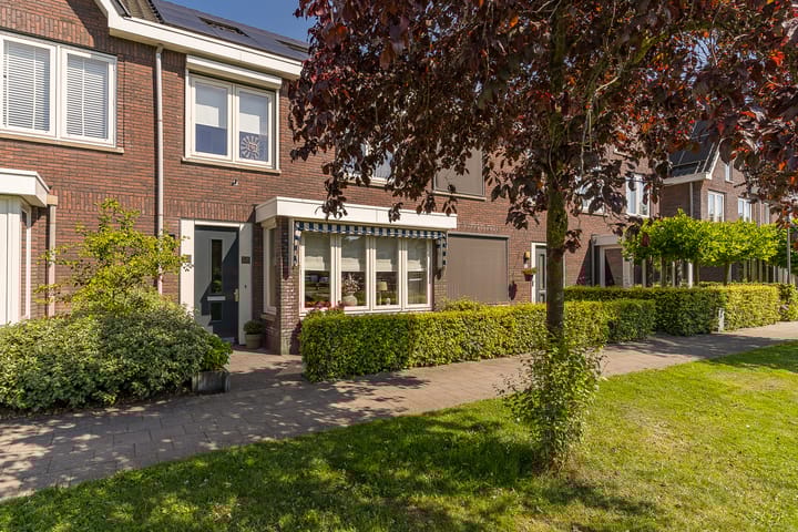 Foto 5 van Spoekeboompje 28