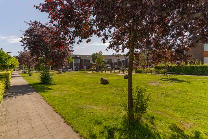 Foto 8 van Spoekeboompje 28